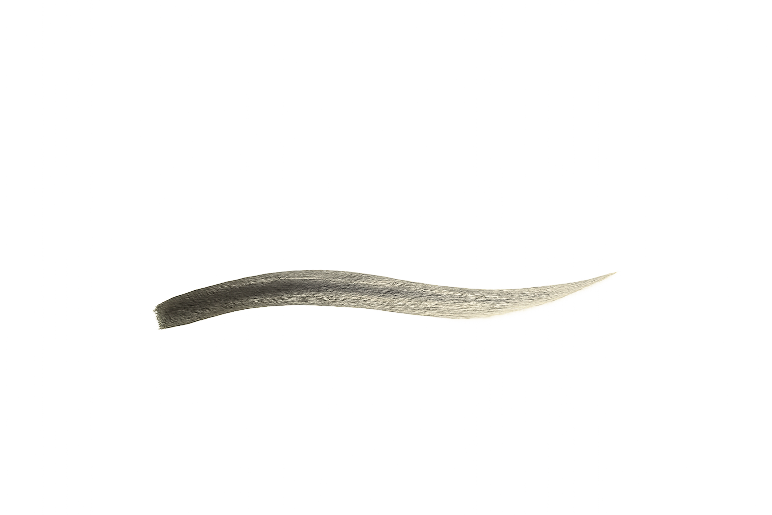 Minimalist brush stroke illustration on pale background with open space.