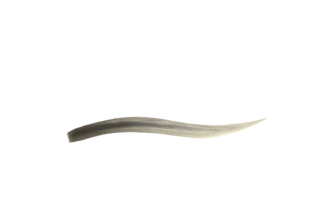 Minimalist brush stroke illustration on pale background with open space.