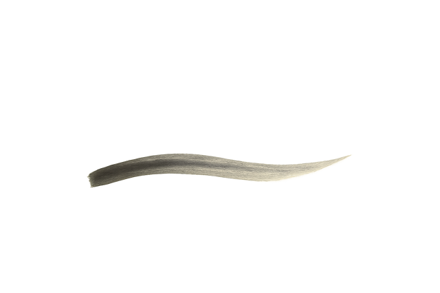 Minimalist brush stroke illustration on pale background with open space.