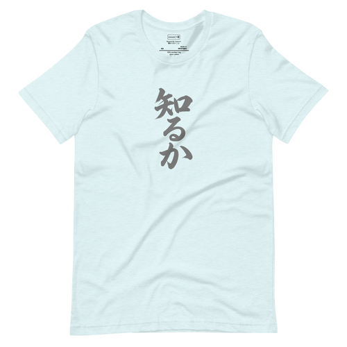 Pewter calligraphy of Japanese kanji 知るか on a Short Sleeve T-Shirt, minimal brush stroke style.