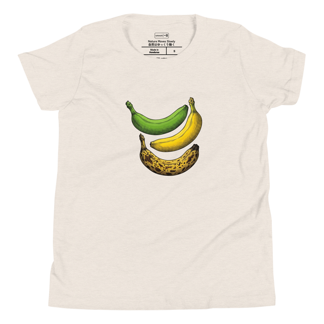 Educational study of three ripening bananas in colorful cross-hatch ink on a Youth T-Shirt.